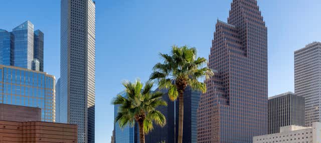 Free tour por Houston