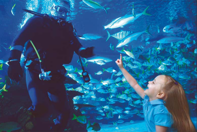 Downtown Aquarium
