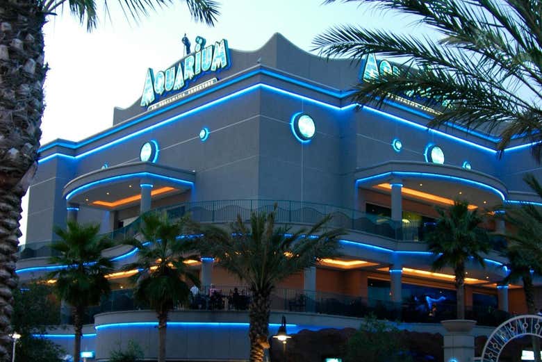 ¡Os lo pasaréis en grande!