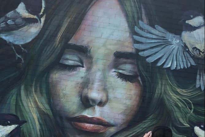 Tour dei graffiti a Houston