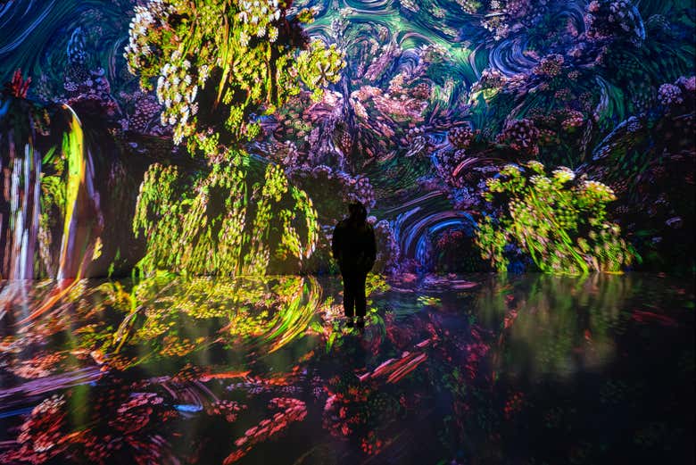 Explore the different art