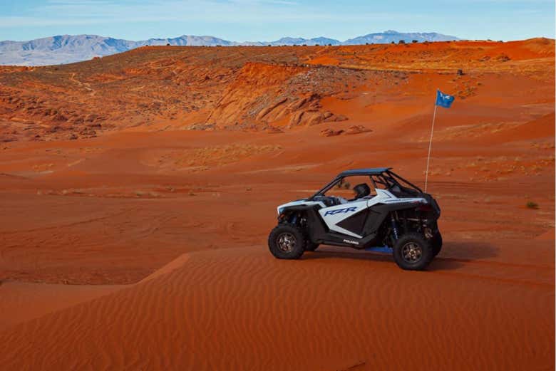 Balade en buggy