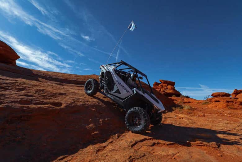 Balade en buggy