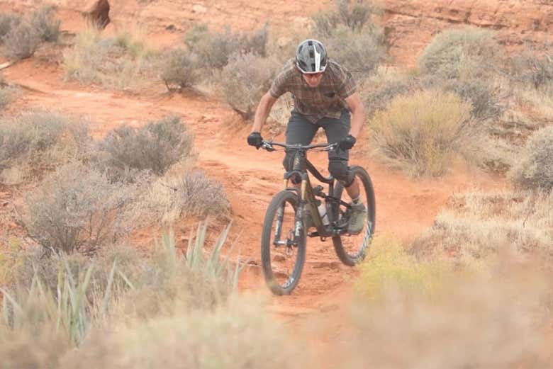 Bike Rental in Hurricane Book Online at