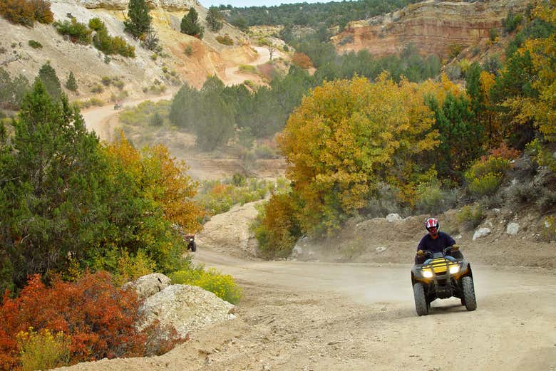 Durante il noleggio del quad