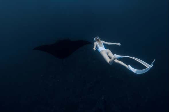 Baño nocturno con mantarrayas