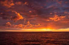 Crociera al tramonto nella baia di Kealakekua con cena