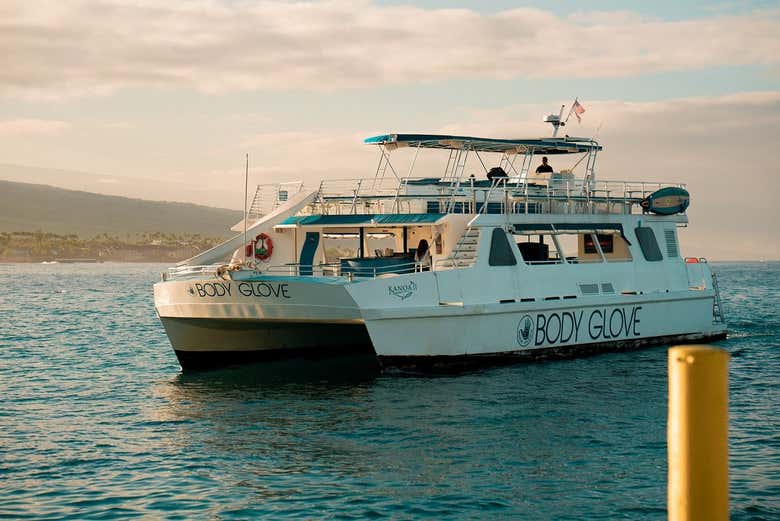 Naviguez dans la baie de Kealakekua