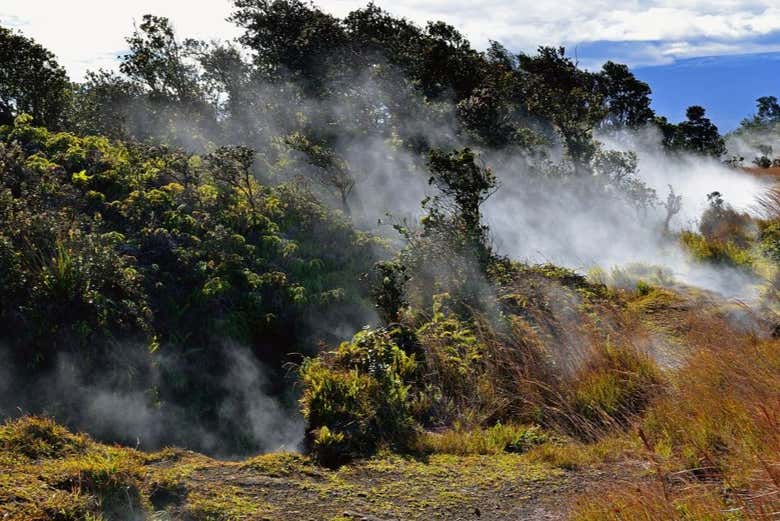 Una meraviglia della natura
