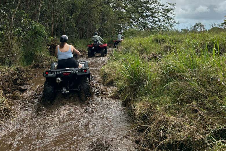 Atravesando una zona pantanosa