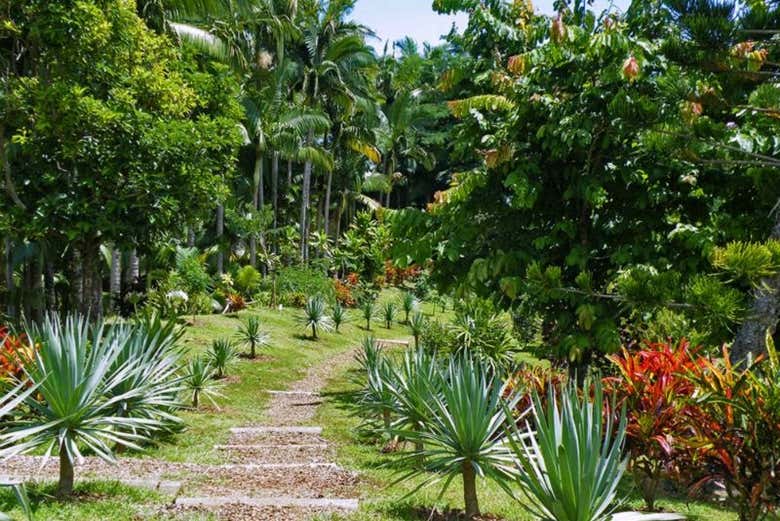 Admirez de magnifiques paysages naturels !