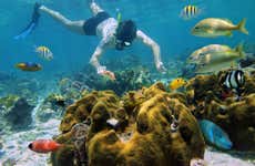 Snorkeling alle Hawaii