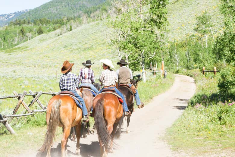 Recorriendo los senderos de Bridger-Teton a caballo