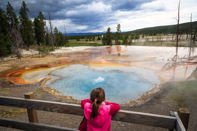Learning about the park's geothermal activity