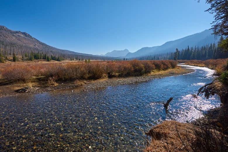 Paesaggi del Buffalo River
