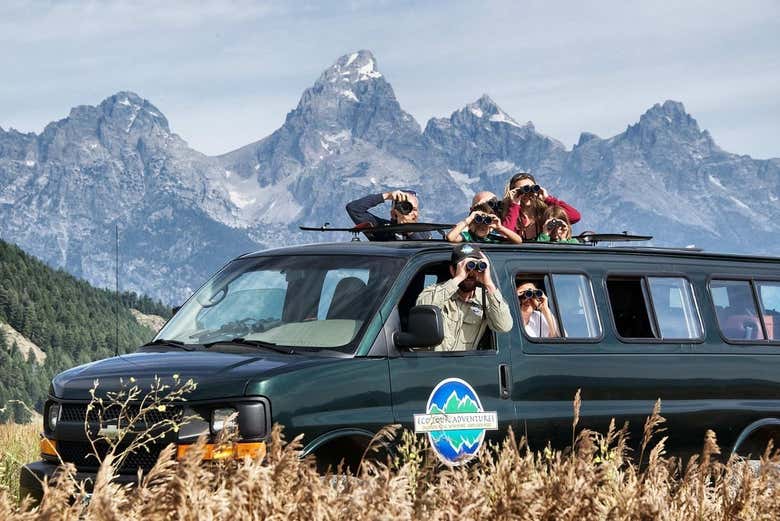 Safari in Grand Teton National Park