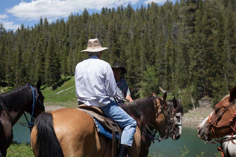 Viendo desde el caballo los bosques de Bridger-Teton