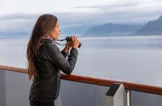 Whale Watching in Juneau