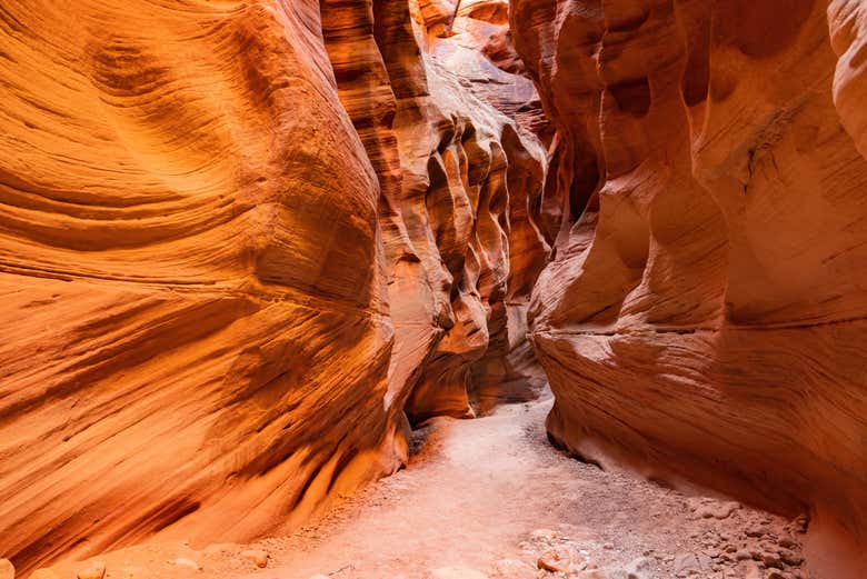Explorez les sentiers de Buckskin Gulch