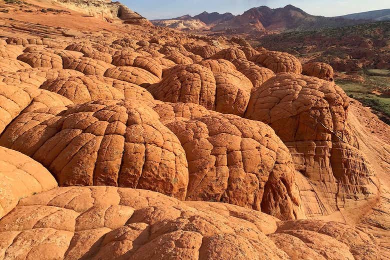 Le cerveau de Buckskin Gulch