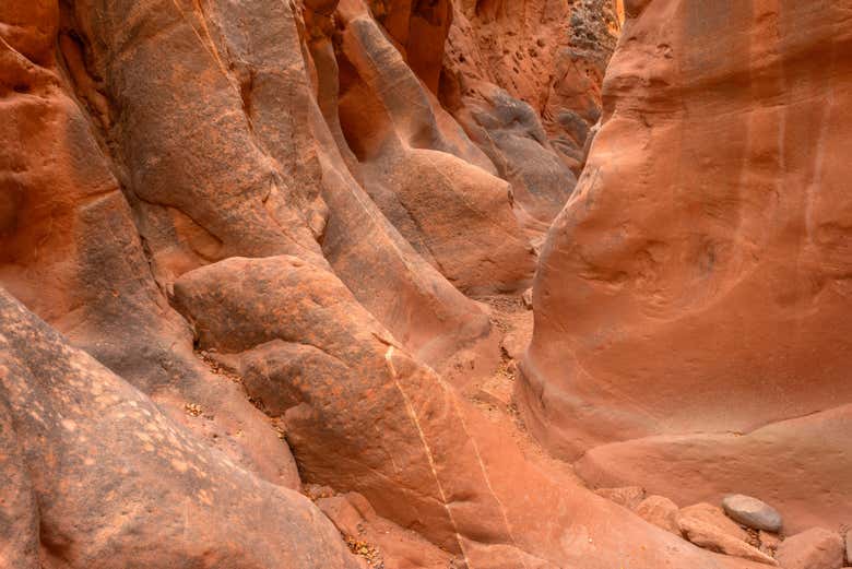 Cottonwood Narrows