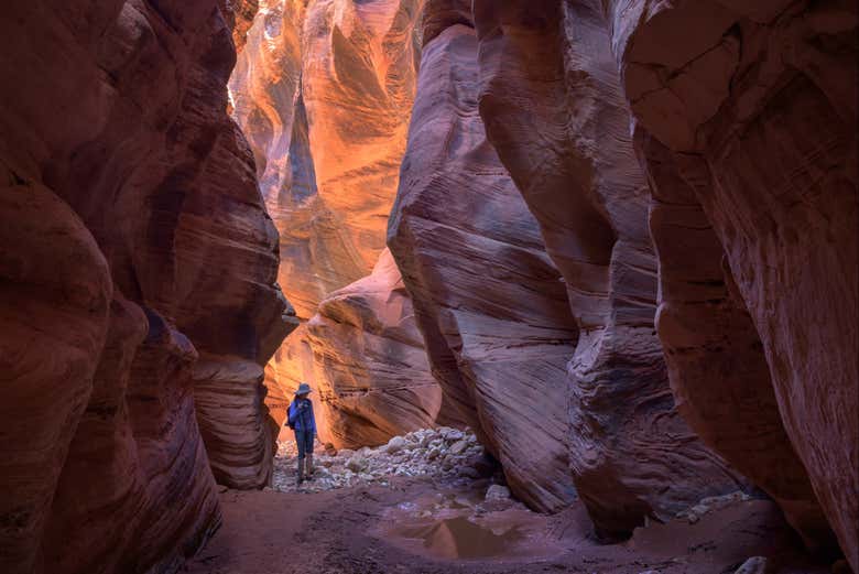 Wire Pass, em Buckskin Gulch
