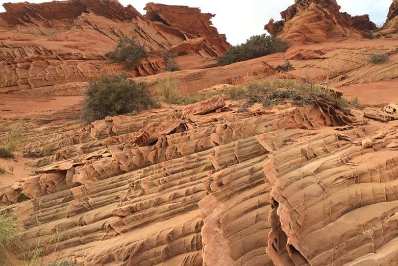 Formations rocheuses de Buckskin Gulch