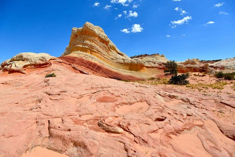 White Pocket fait partie du parc de Vermillion Cliffs