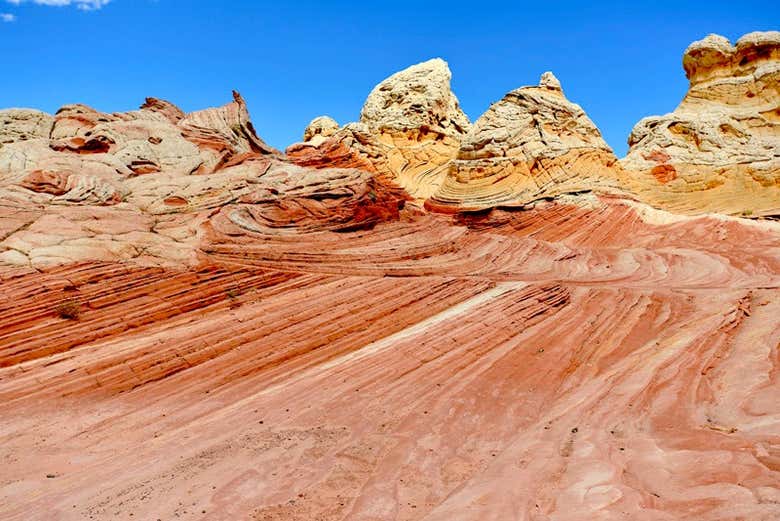 Paysages de White Pocket
