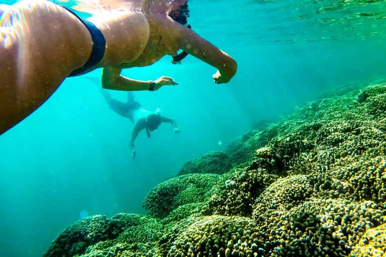 Praticando snorkeling nella baia di Kaneohe