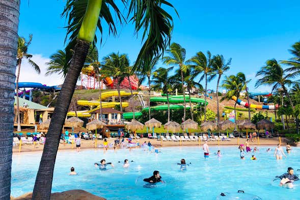 Billet pour le Wet 'n' Wild Hawaii