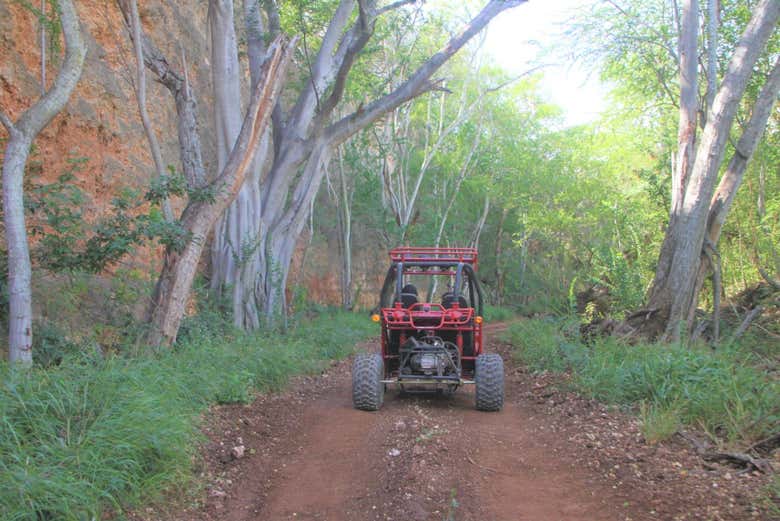 Percorreremos bosques e trilhas