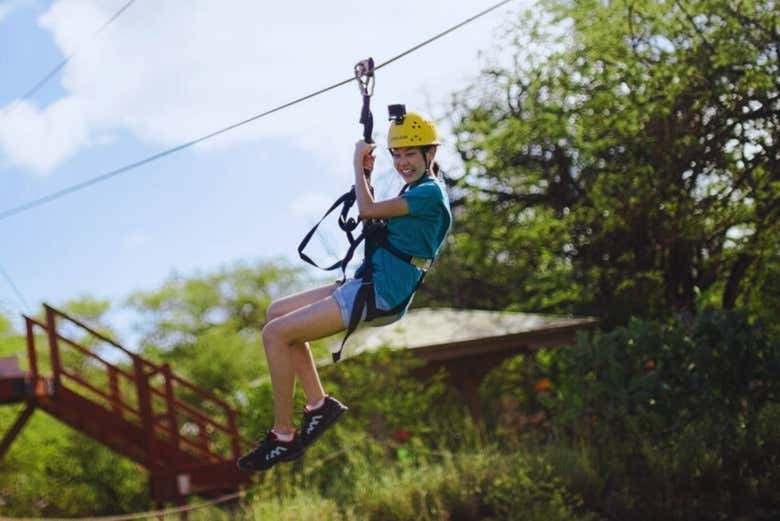 Volerete tra gli alberi!