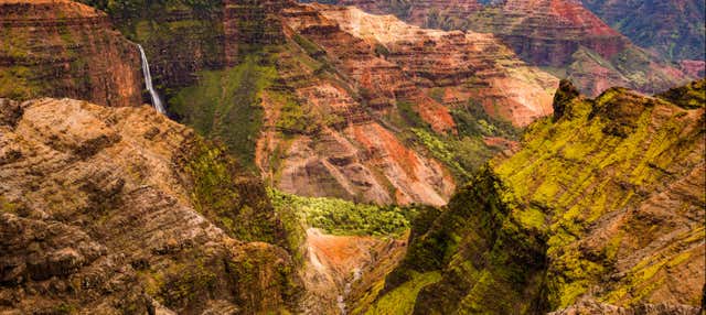 Excursión al Cañón del Waimea y Parque Estatal Kōkeʻe