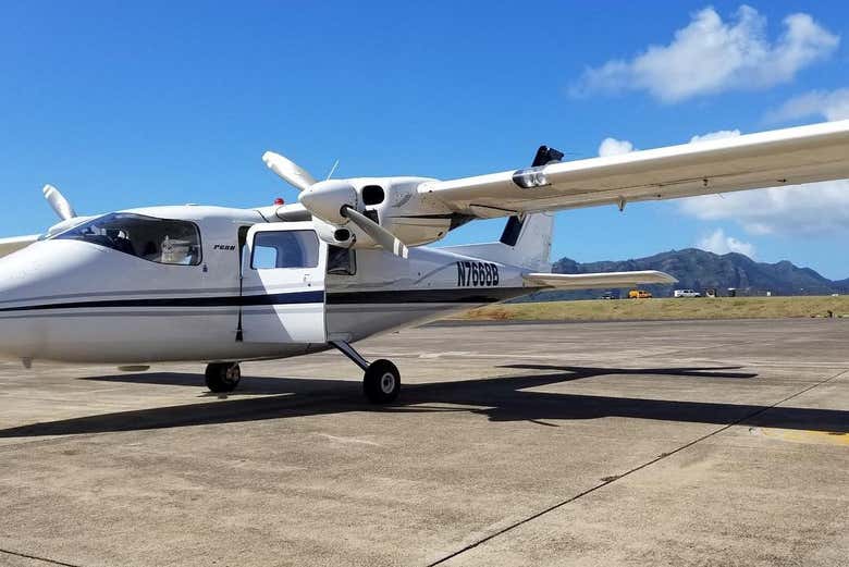 Hop on board for an unforgettable experience!