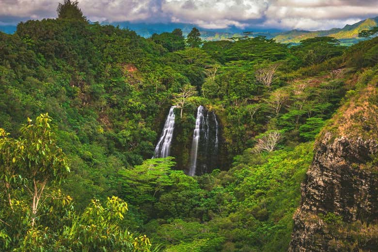 Cascada ʻŌpaekaʻa en la isla de Kauai
