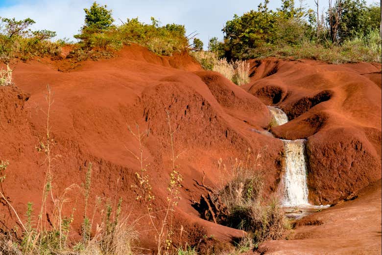 Recorriendo el Parque Estatal Kōkeʻe