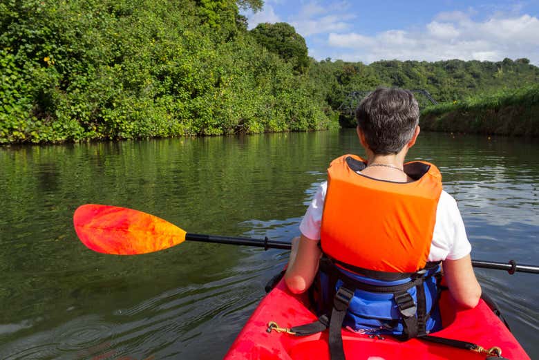 Tour en kayak por Hanalei, Kauai