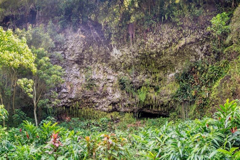 La frondosa y mágica cueva de Fern Grotto