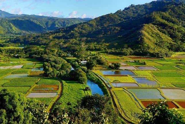 Paysages de Kauai