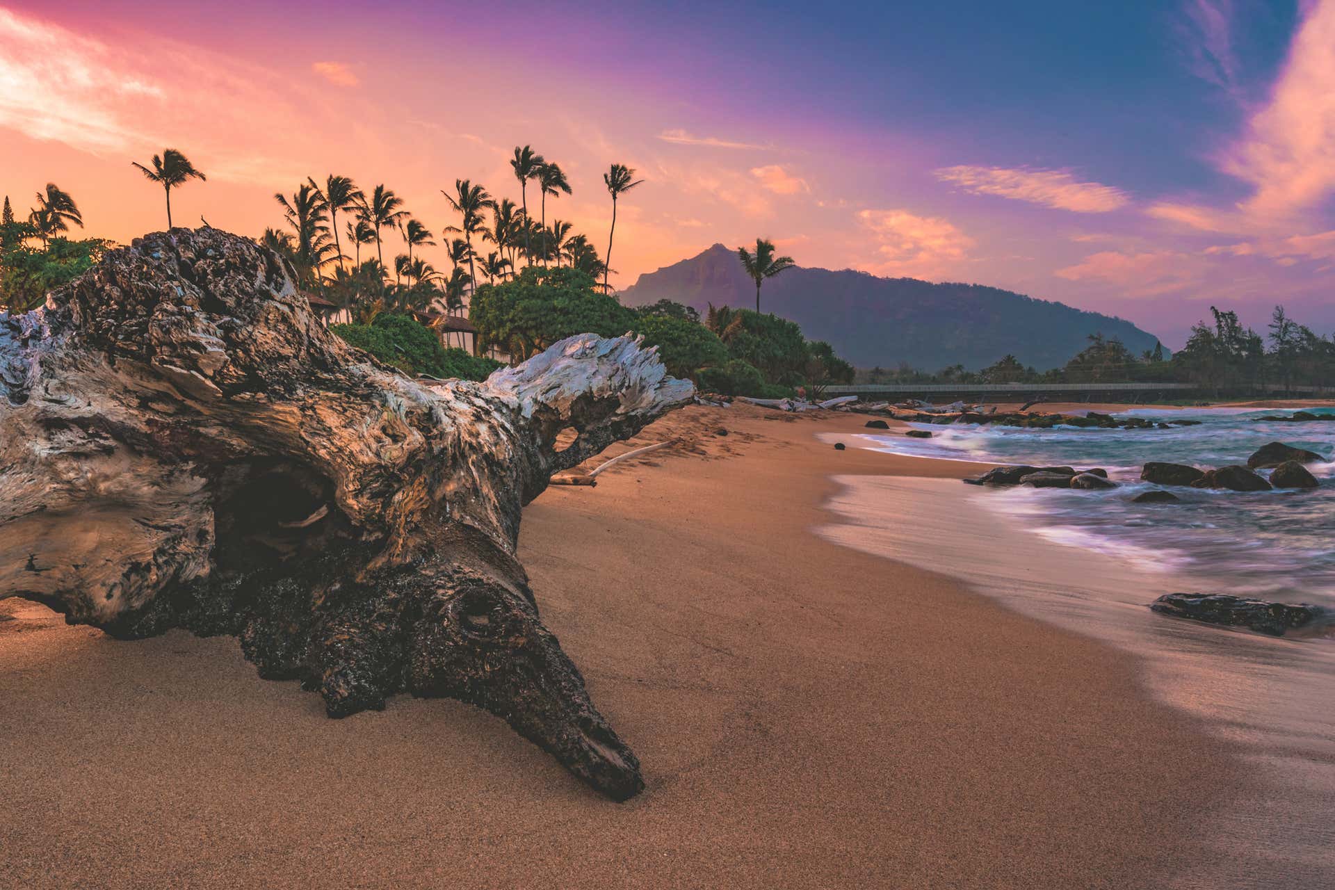 viator kauai movie tour