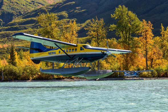Passeio de avião + avistamento de ursos no lago Clark