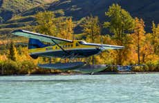 Clark Lake Plane Trip from Kenai + Bear Watching