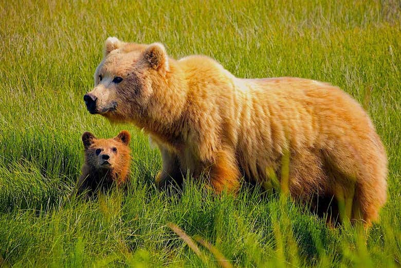 Visit Clark Lake National Park