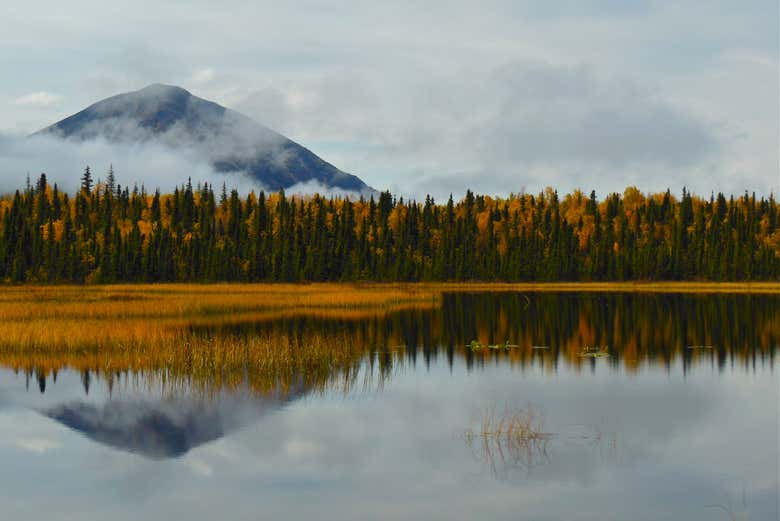 Admire the stunning scenery