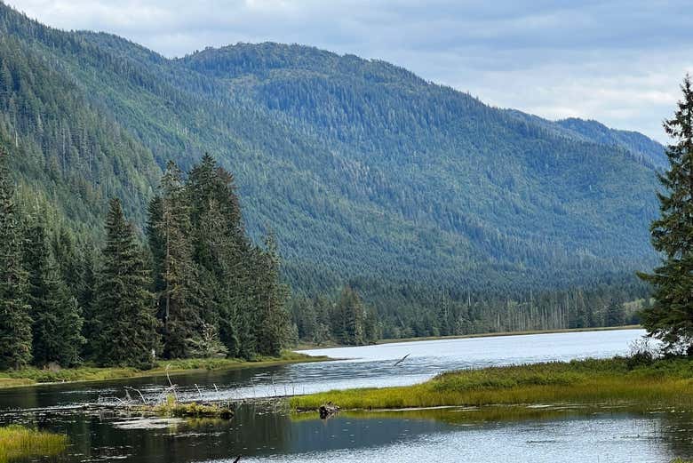 Tongass es una de las joyas del sur de Alaska