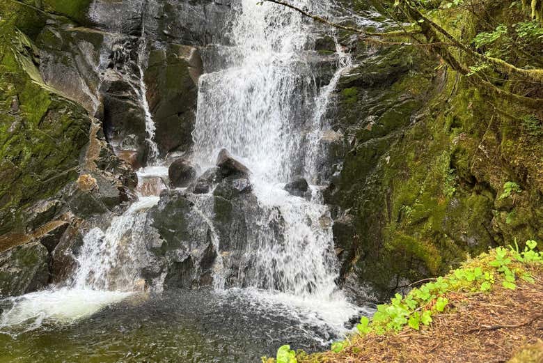 Una de las cascadas naturales del bosque