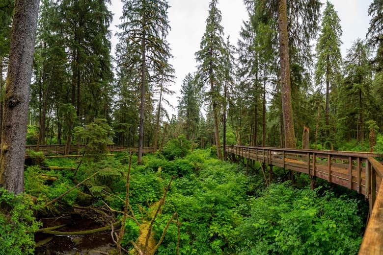 Paisajes del Bosque Nacional de Tongass