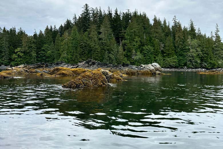 Paisajes naturales de Tongass