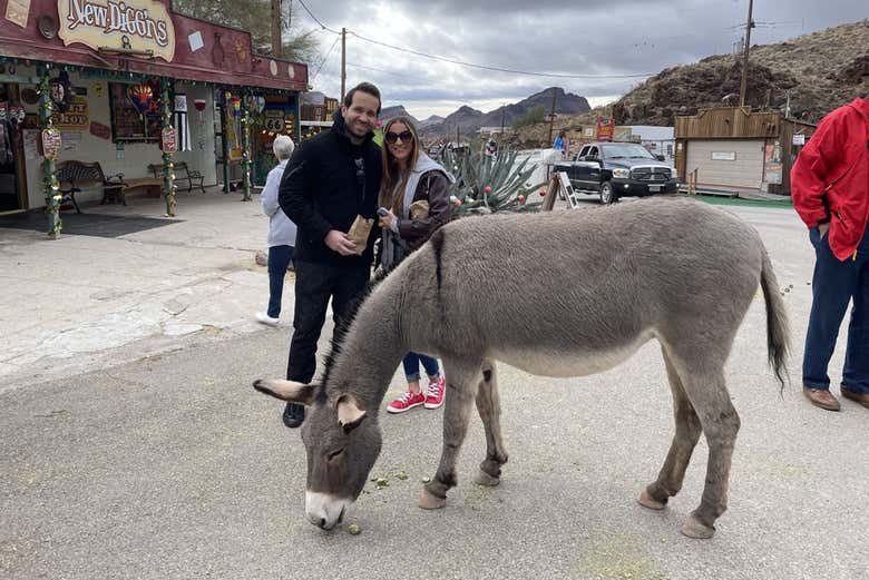 Un simpatico asinello per le strade di Oatman